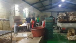 육견단체, 경기도청 진입시도… 이재명 지사 동물보호에 집단 반발