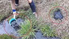 경기도, 가축분뇨 및 공장폐수 배출업체 220개소 수사, 54곳 형사입건