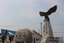 [섬여행+] 새들이 모인 섬, 천일염과 섬초의 고장