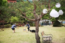 반려견은 가족… 펫펨족 여름휴가 애견펜션 5선