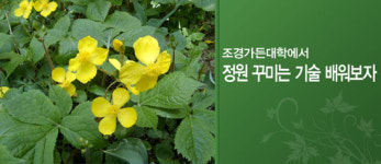 경기도, 정원 문화 확산 위한 ‘조경가든대학’ 하반기 과정 운영