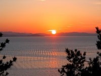 천혜 자연 유원지 무안군으로 여름피서 떠나요