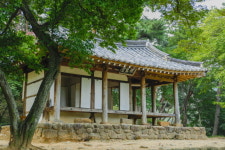 [여행] “또 한잔 먹세 그려”… 강호가도(江湖歌道)의 길