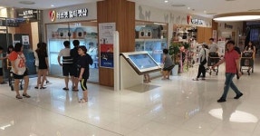 애견샵 창업 특수상권 몰에서 오픈해요