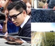 탑, 와인농장 사진 게재→삭제한 이유는?