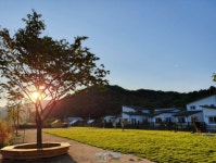 [정’s Pick] 반려동물과 함께하는 2019 추석, 이거 어때?