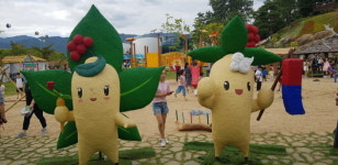 [머니S포토] 함양 산삼먹고 건강하세요!