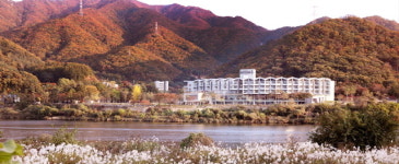 가을 가평엔 재즈 흐른다… 자라섬재즈페스티벌 가평숙소