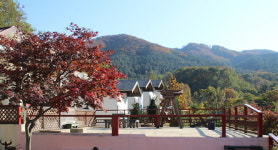 산정호수엔 깊은 가을… 포천 명성산 억새축제 숙소