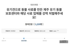 버려지는 것도 안쓰러운데… 유기견 사체로 사료 제작 청원글 충격