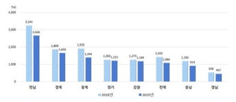 가격 급락에 전남, 올해 가을배추·무 재배면적 감소