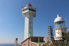 오매 동백 폈네… 동백에 ‘불 난’ 거문도 불탄봉 걷다