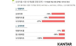 식자재마트∙창고형매장 이용객은 대형마트몰로 이동… 대형마트몰은 소셜커머스와 경쟁