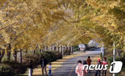 [주말·내일날씨] 전국 비 그친 뒤 화창… 미세먼지 오후부터 나쁨
