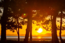 [여행] 신해년 한해를 걷다… 해넘이 명소