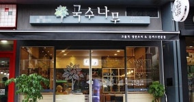 유행을 타지 않는 국수나무 그 비결은