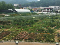 광명시, 옥길농장 200개·밤일농장 352개 텃밭 참여자 모집