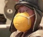 [신종코로나] 자몽·멜론에 속옷까지… 마스크 대란에 칼 빼든 세계