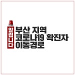 부산 코로나19 확진자 동선…온천교회·메가마트 방문