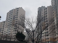 “우리 신천지 아닙니다”… 포항 신천지아파트 이름 변경 추진