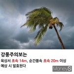 [카드뉴스] 강풍주의보, 완벽하게 대비하는 법