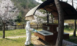 다도해해상국립공원, 고흥 팔영산 차 야영장 부분 개방