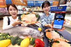 노량진 수산시장 회, 배달팁 없이 퀵배송 받으세요