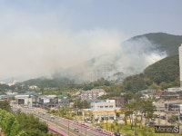 [속보]양산 동면 금정산 2부 능선에서 산불 발생