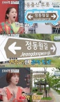하동 정동원 길, 기네스북 도전?