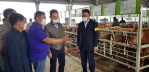 청정축산 전남, 한우 질 높여 농가소득도 증대