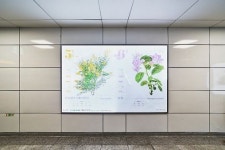 우이신설선 북한산 보국문역에서 만나는 일상 속 꽃…’코스믹그린’展 열려