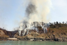 삼시세끼5, 촬영지 죽굴도 화재 책임 통감 산림 회복 최선