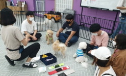 해운대구, 청년 발달장애인 직업교육·자활 지원