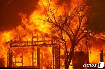 재앙에 시달리는 캘리포니아… 트럼프, '비상사태' 선포
