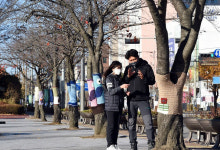의정부시, 마을공동체 가로수에 뜨개옷 입혀… 이색 볼거리 제공