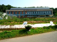 서울시, 로열젤리·프로폴리스 만드는 양봉전문가 키운다