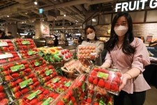 백화점·마트 진열대 점령한 딸기, 겨울 매출 효자로 우뚝