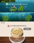 과학실험부터 교과서 배경지식 쌓기까지 집에서, 천재교과서 밀크T 초등