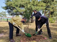 수원시, 이목동 노송지대에 노송 후계목 50주 심어