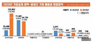 기약없는 신약개발에 묻지마 투자?