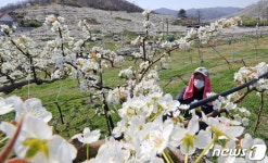 [내일 날씨] 아침엔 쌀쌀 한낮엔 포근… 전국 곳곳 건조해요