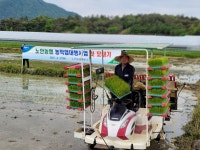 노안농협연쇄점 | 전남 나주 노안농협 농작업대행사업 첫 모내기
