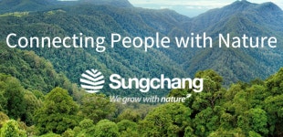 [특징주] 성창기업지주, 목재가격 상승에 7%↑… 52주 신고가 경신