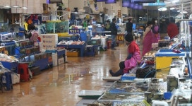 서울 노량진수산시장 14명 집단 감염… 2688명 전수 검사