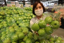 [머니S포토]롯데마트 광주월드컵점 여름 햇 연두사과 납시오