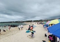 [오늘 날씨] 태풍 루핏 영향으로 동해안 최대 250㎜ 이상 물폭탄