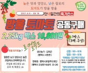 평택시로컬푸드재단, 방울토마토 3차 공동구매 실시
