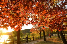 수원시, 역사문화자연 담긴 팔색 매력 8개 걷기 코스 개발