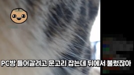 탈영해 PC방 갔다가 간부에 걸렸다… 스트리머, 충격 고백