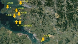 경기도, 어린 바지락·가무락조개·갯지렁이 355만 마리 연안 갯벌 방류